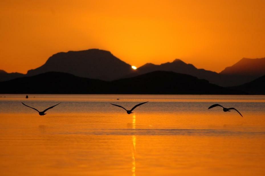 El Vivero Del Mar Menor La Manga Eksteriør billede